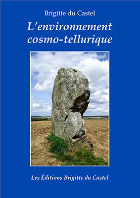 Description vécue des rayonnements émis par la Terre et des rayonnements cosmiques, étude des interactions