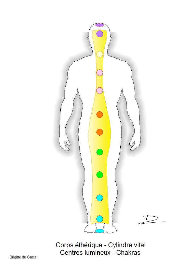 Les Chakras et les Centres Lumineux sur le Cylindre vital